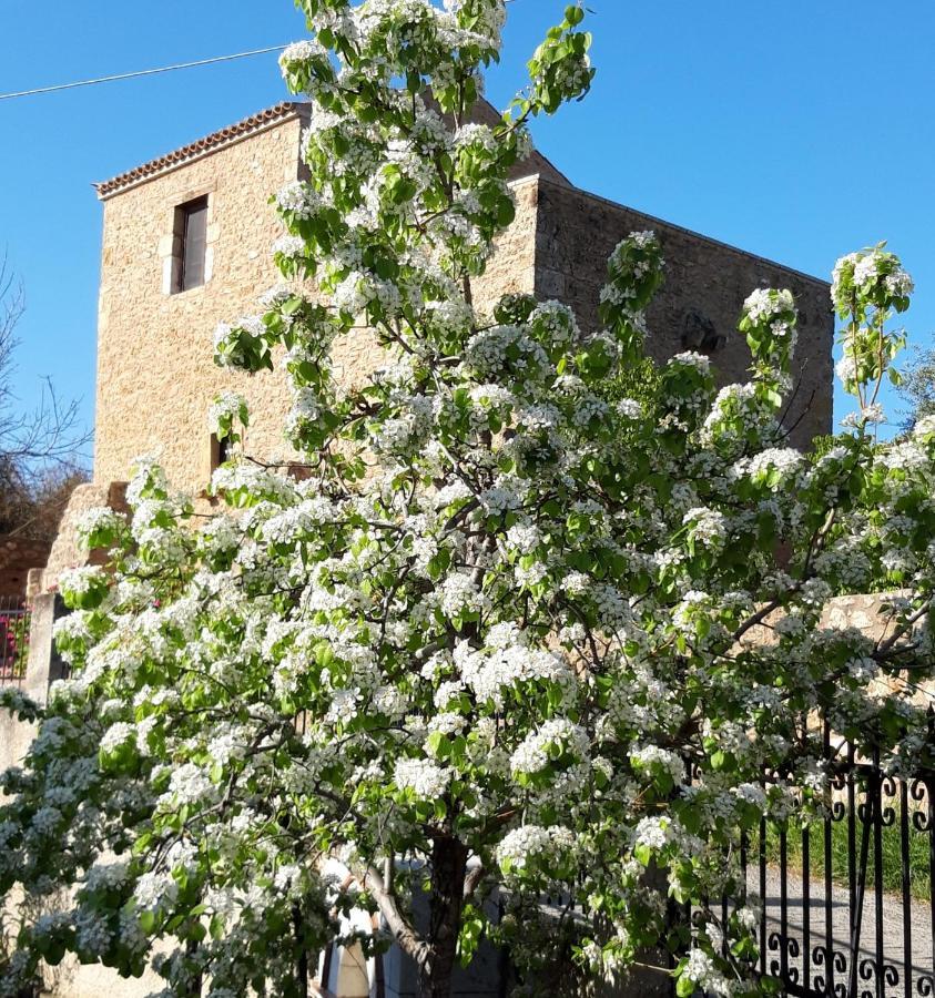 伊西翁Pyrgos 1869别墅 外观 照片
